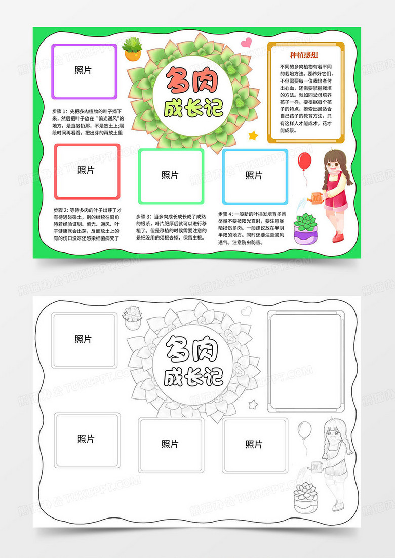 多肉成长记手抄报小报word模板
