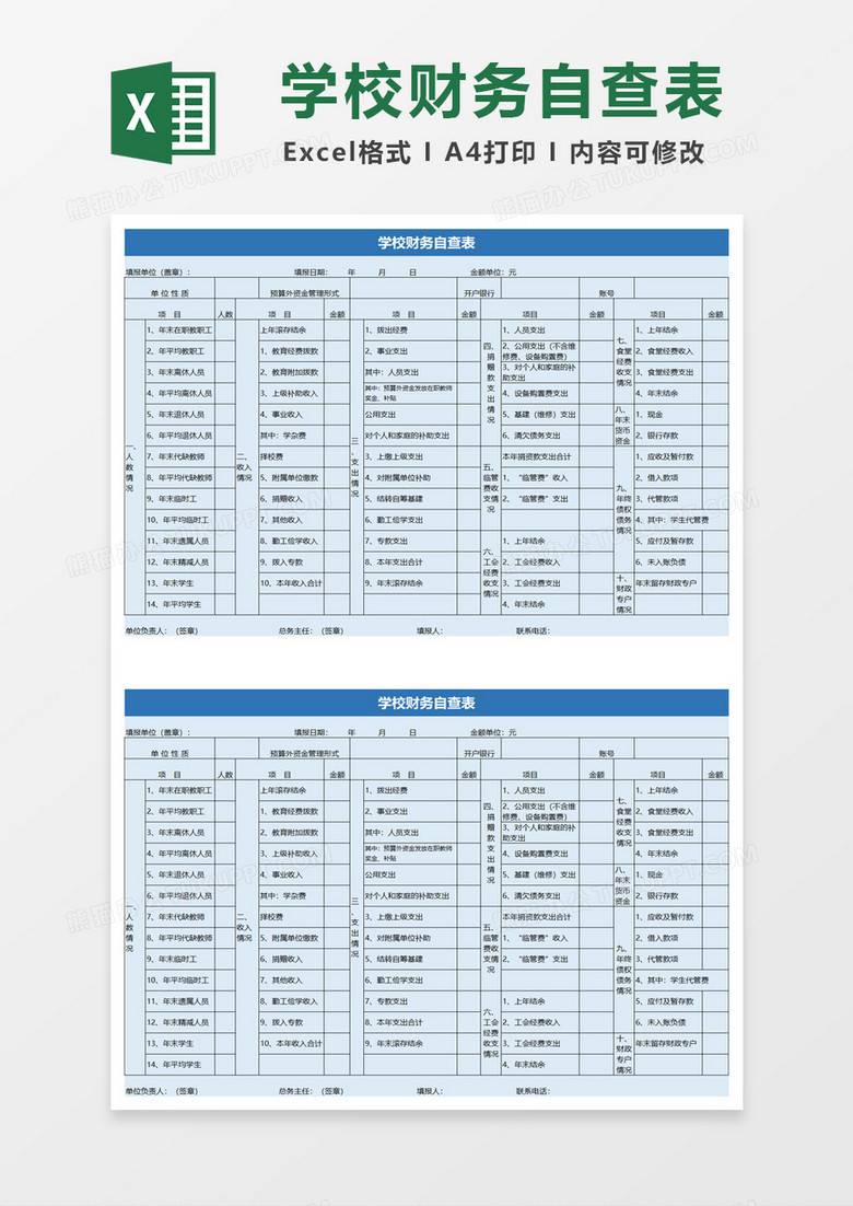 学校财务自查表excle模板