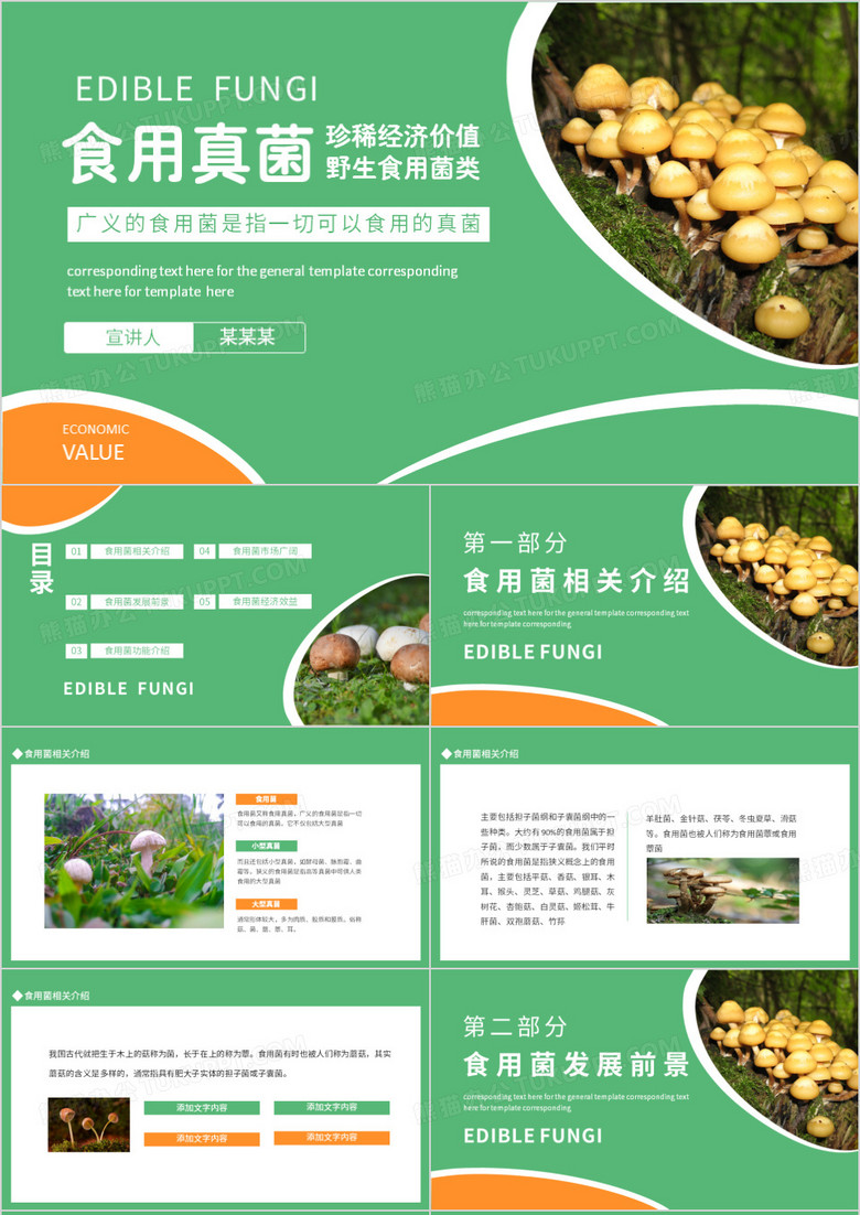 食用真菌广义的食用菌是指一切可以食用的真菌动态PPT模板