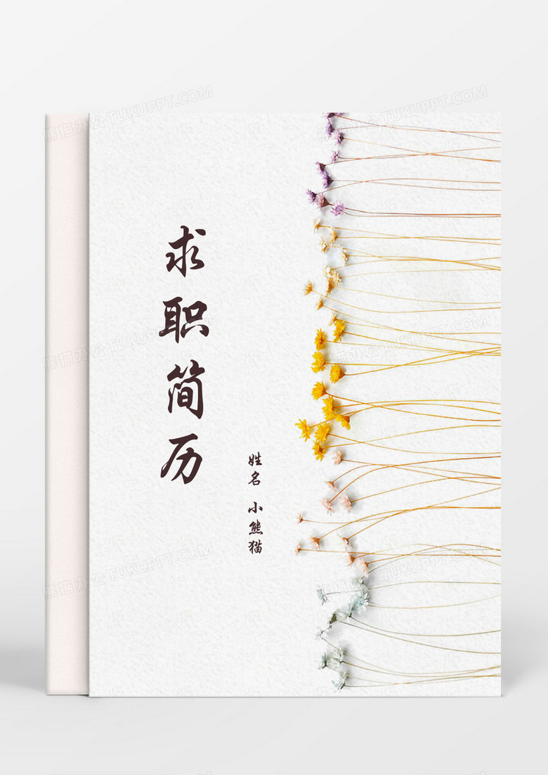 小清新教師成套簡歷word模板