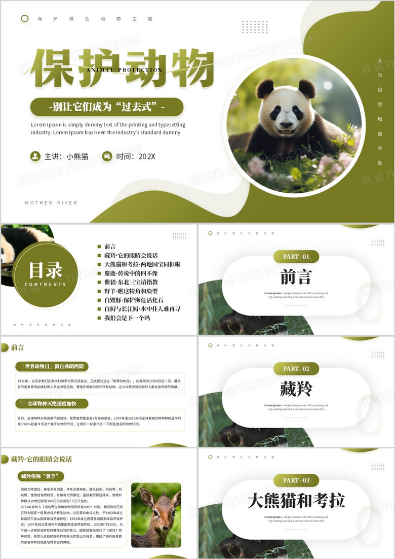 绿色简约风保护濒危动物教育PPT模板