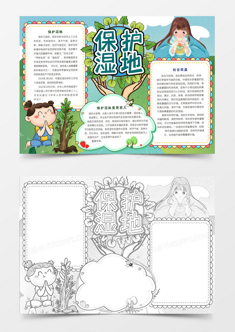 保护湿地手抄报