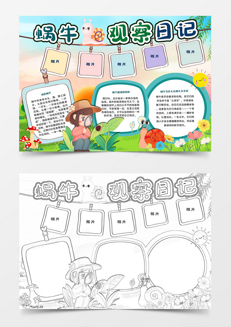 蜗牛观察日记手抄报