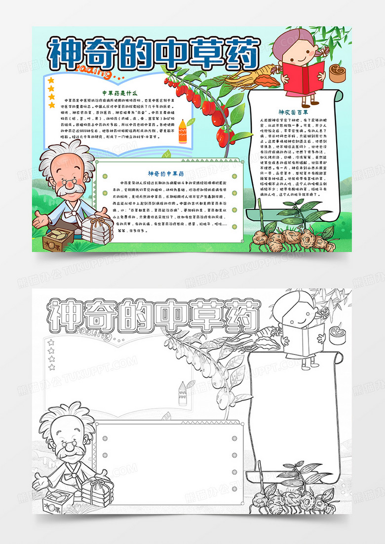 小学生中草药的认识手抄报