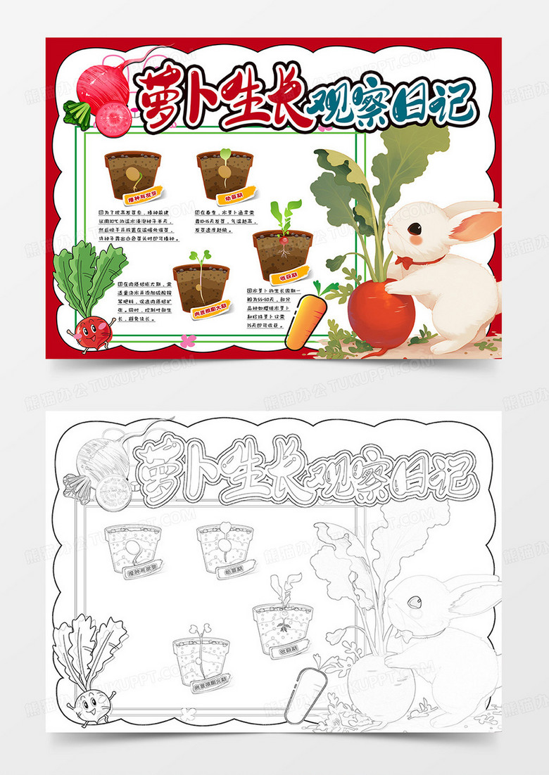 萝卜生长观察日记手抄报