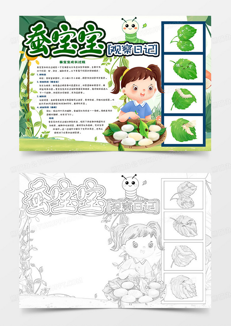 蚕宝宝观察日记卡通小报