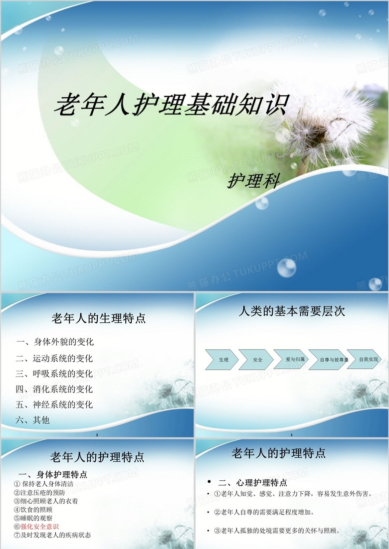 老年人护理基础知识