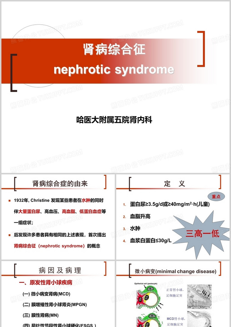 肾病综合征ppt模板