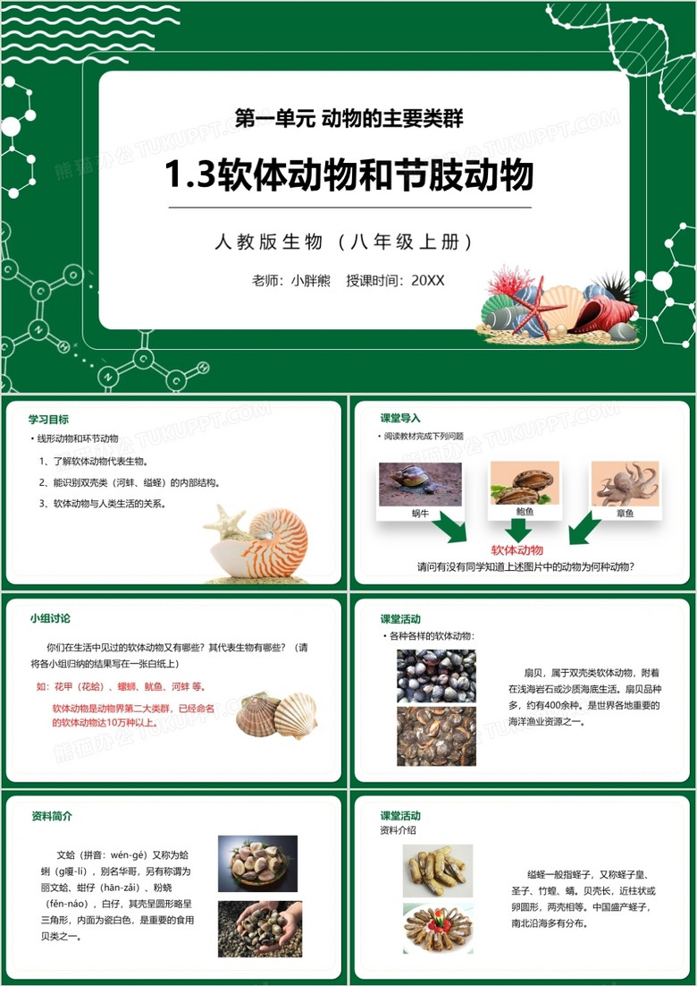 部编版八年级生物上册软体动物和节肢动物PPT模板