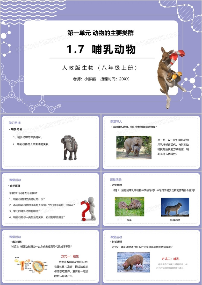 部编版八年级生物上册哺乳动物PPT模板