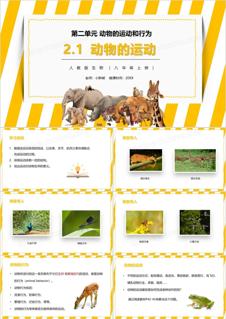 部编版八年级生物上册动物的运动PPT模板