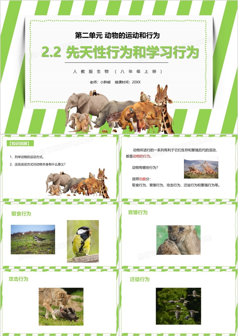 部编版八年级生物上册先天性行为和学习行为PPT模板