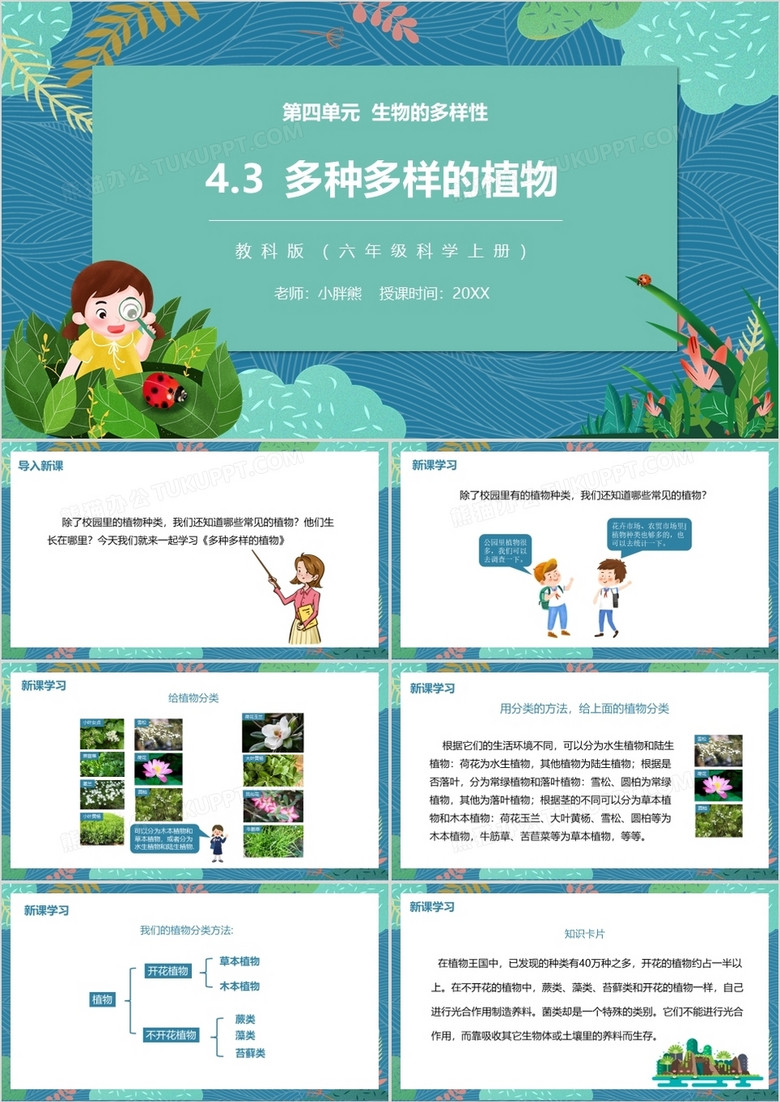 教科版六年级科学上册多种多样的植物PPT模板