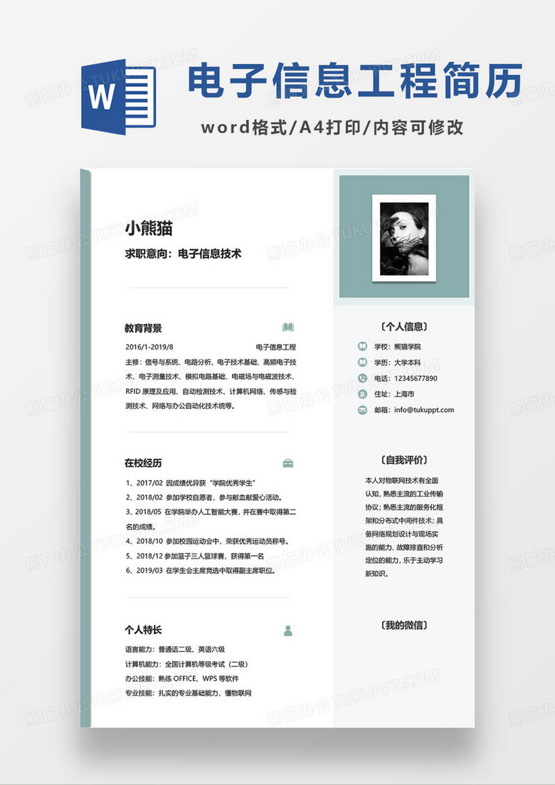 简约电子信息技术工程师求职简历word模板