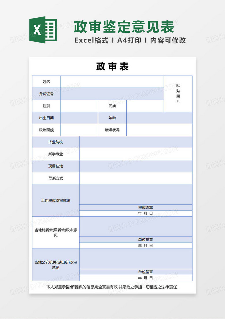 简约政治审查表范本excel模板