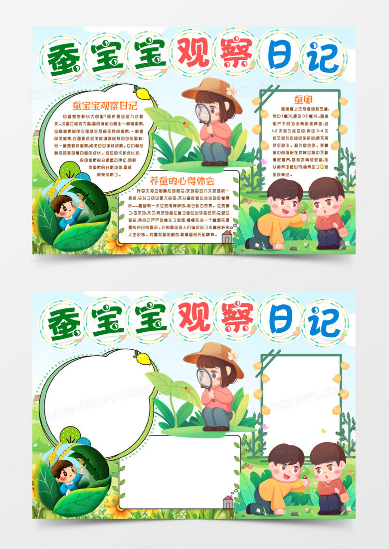 蠶寶寶生物觀察日記小報手抄報word模板 蠶寶寶生物觀察日記小報手抄報word模板