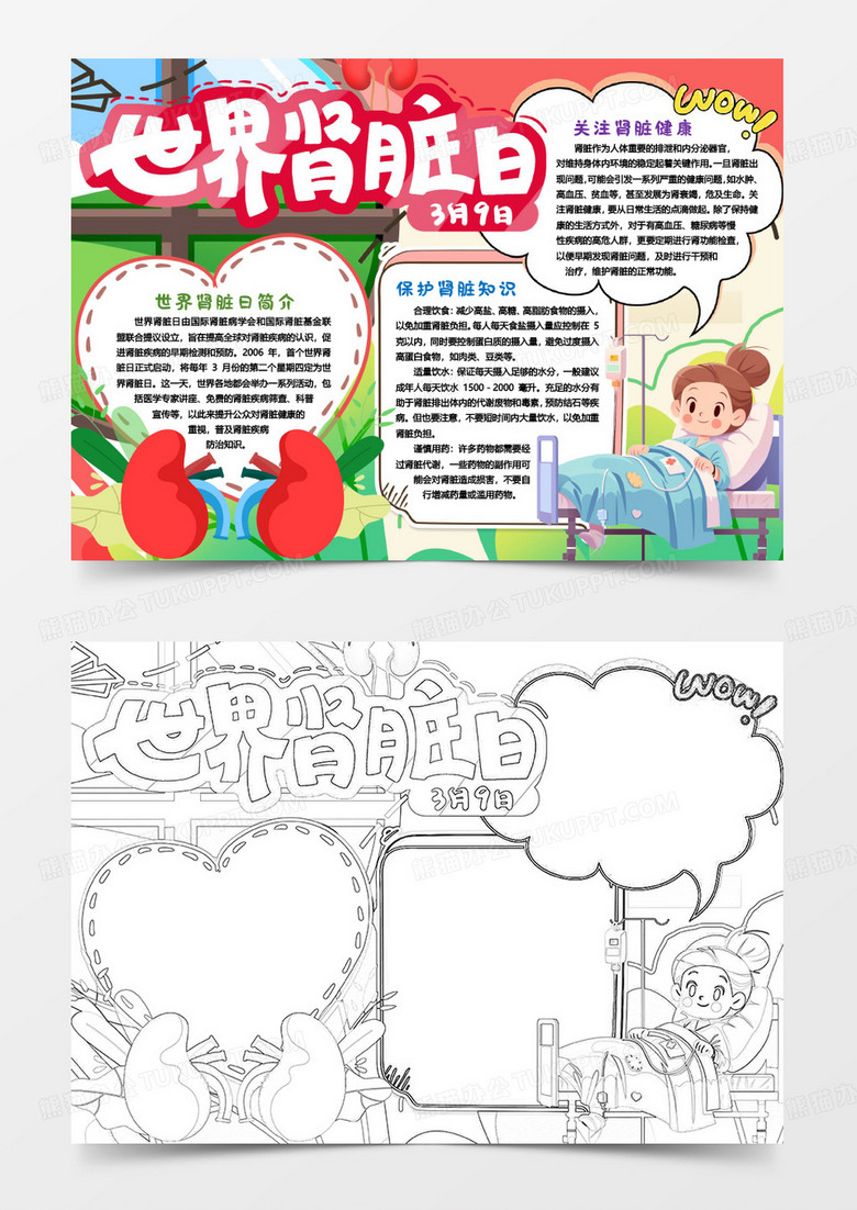 世界肾脏日关注肾脏健康小报手抄报word模版