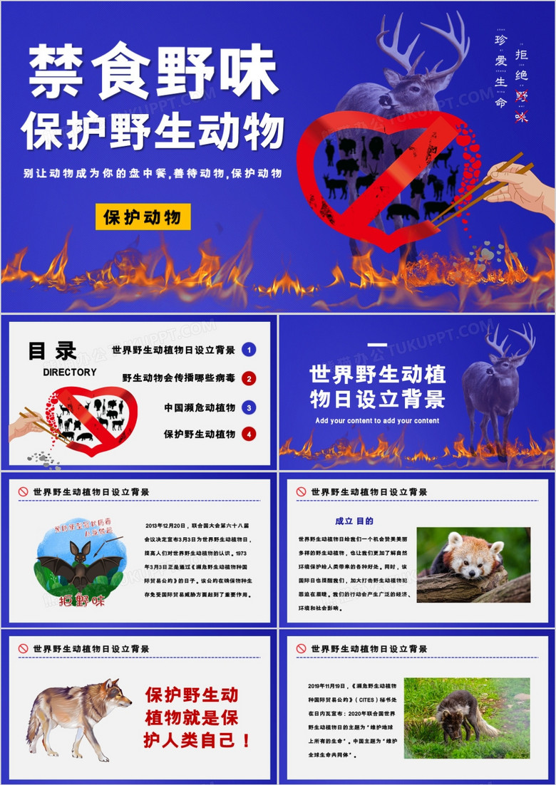 禁食野生动物保护野生动物宣传PPT模板