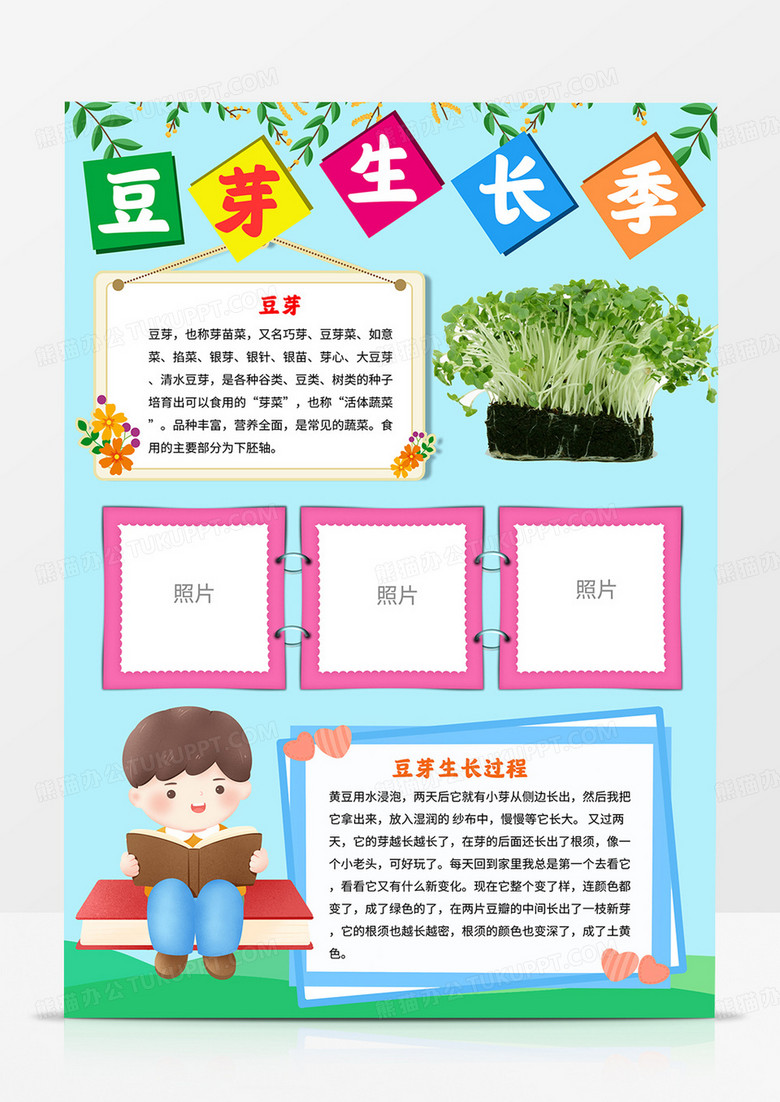竖版豆芽生长记小报植物记录卡