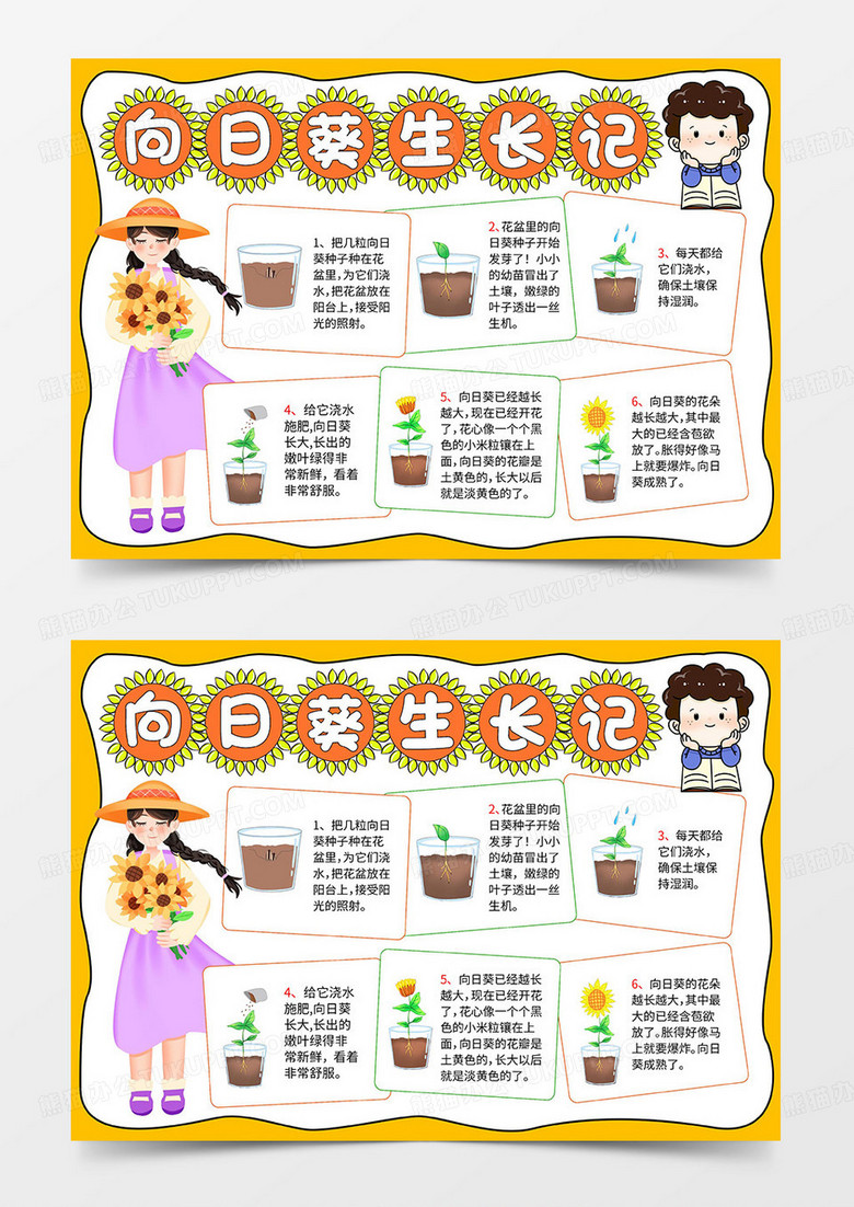 向日葵生长记手抄报模板