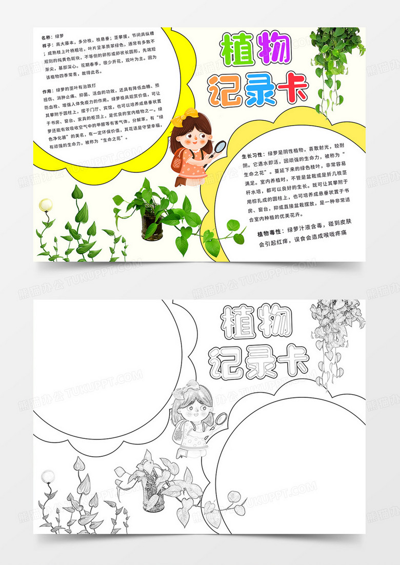 卡通植物记录卡小报绿萝记录手抄报线描模板