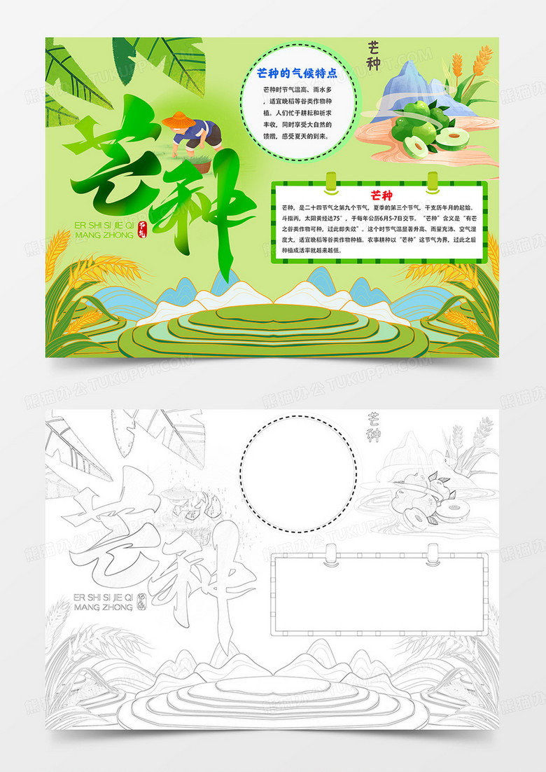 芒种手抄报二十四节气芒种小报线描模板