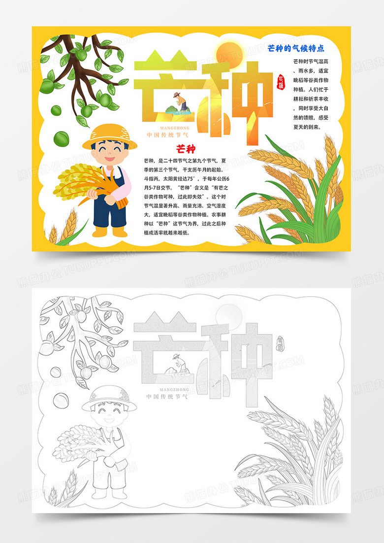 卡通芒种小报二十四节气芒种手抄报