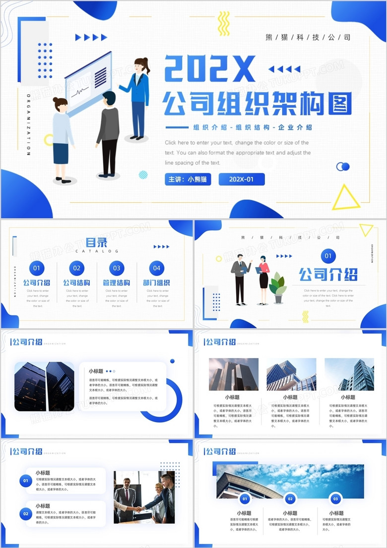 软件公司简介 true