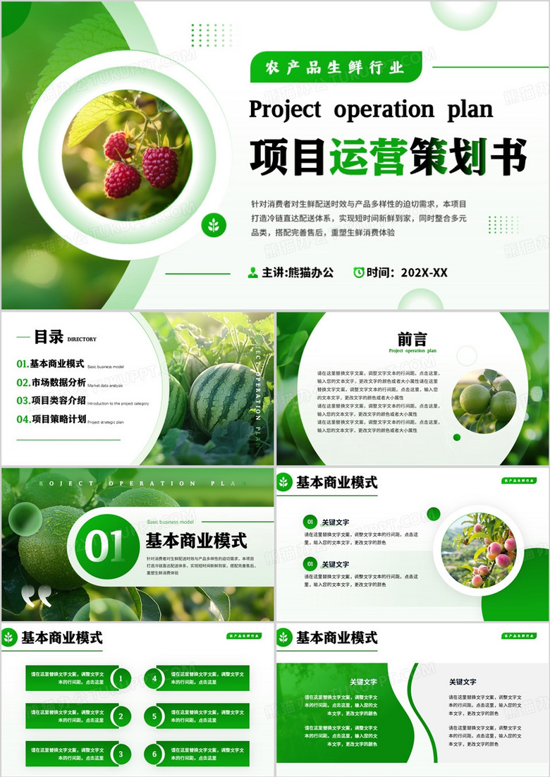 绿色简约风农业生鲜项目运营策划PPT模板