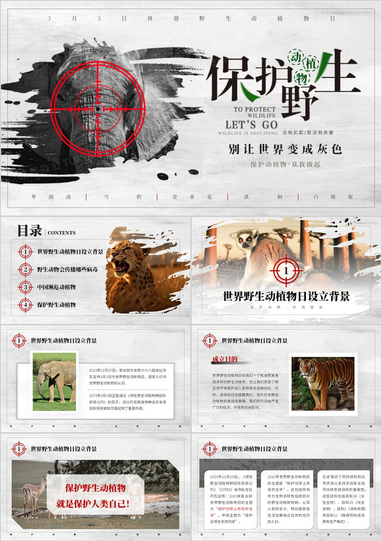 灰色简约风保护野生动植物宣传PPT模板