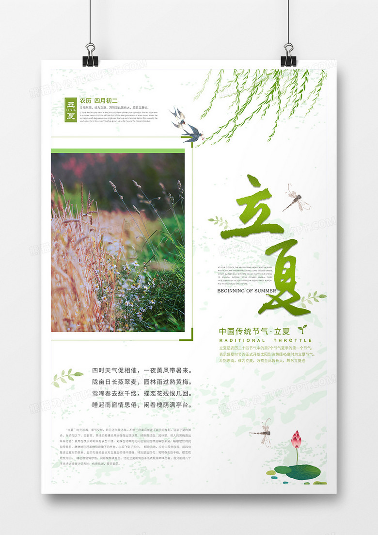 立夏清新节气海报