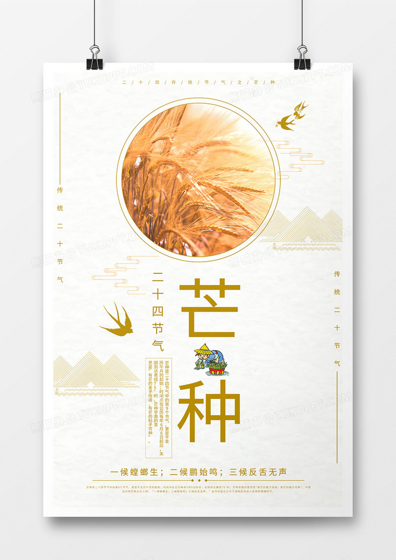 传统二十节气之芒种