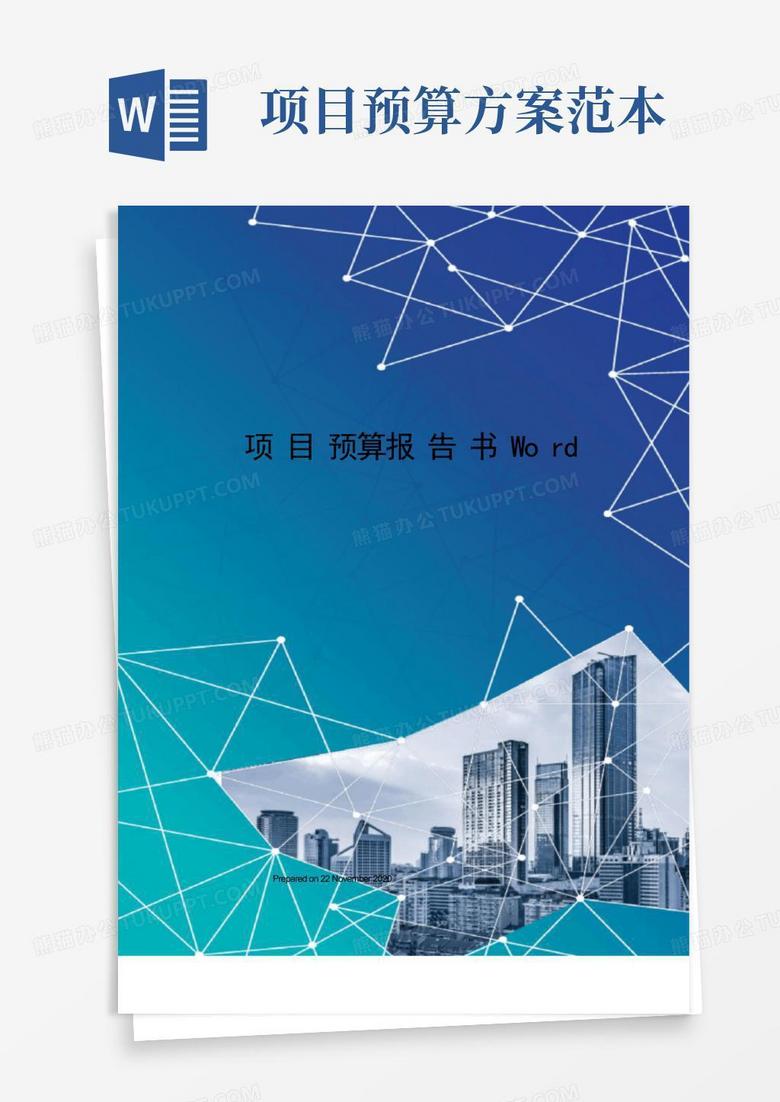 项目预算报告书Word