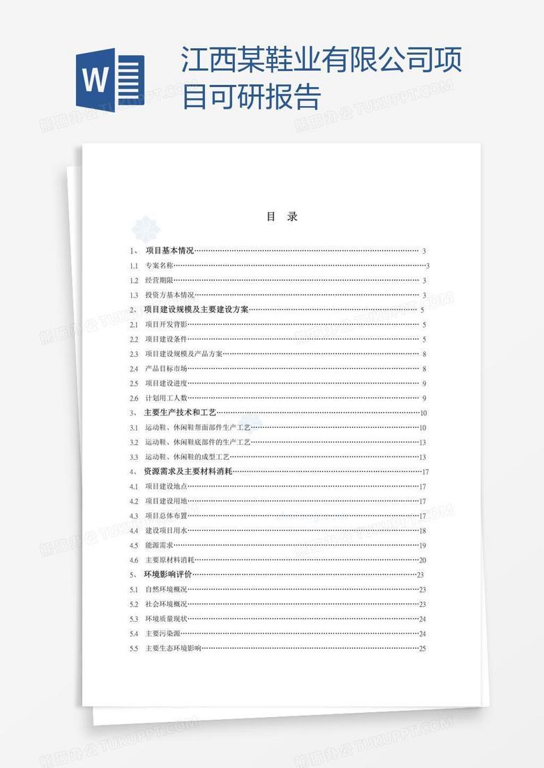 江西某鞋业有限公司项目可研报告