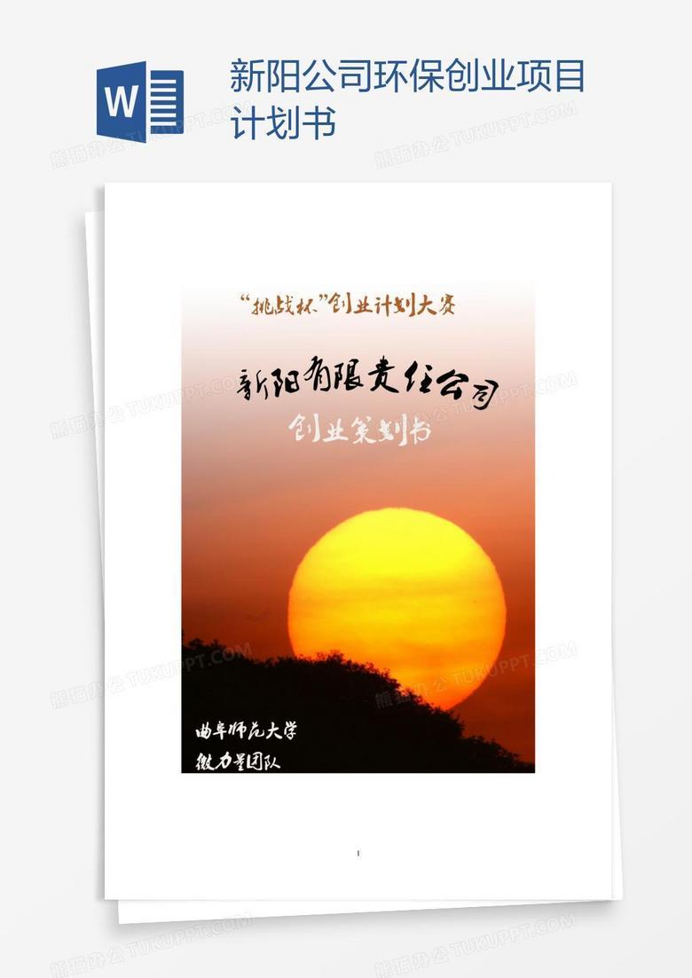 新阳公司环保创业项目计划书