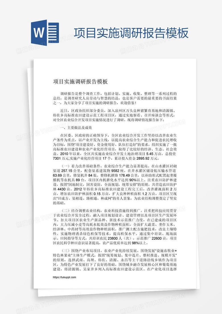 项目实施调研报告模板