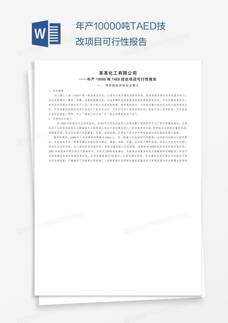 年产10000吨TAED技改项目可行性报告