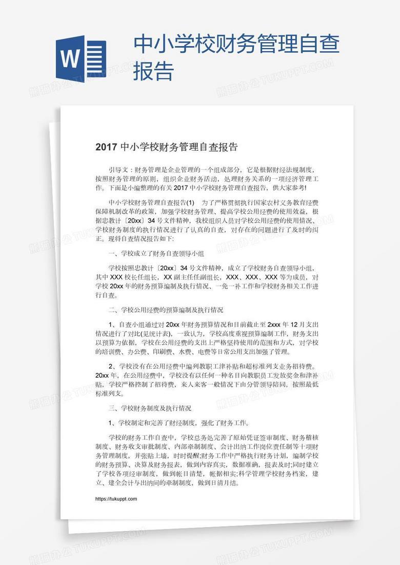 中小学校财务管理自查报告