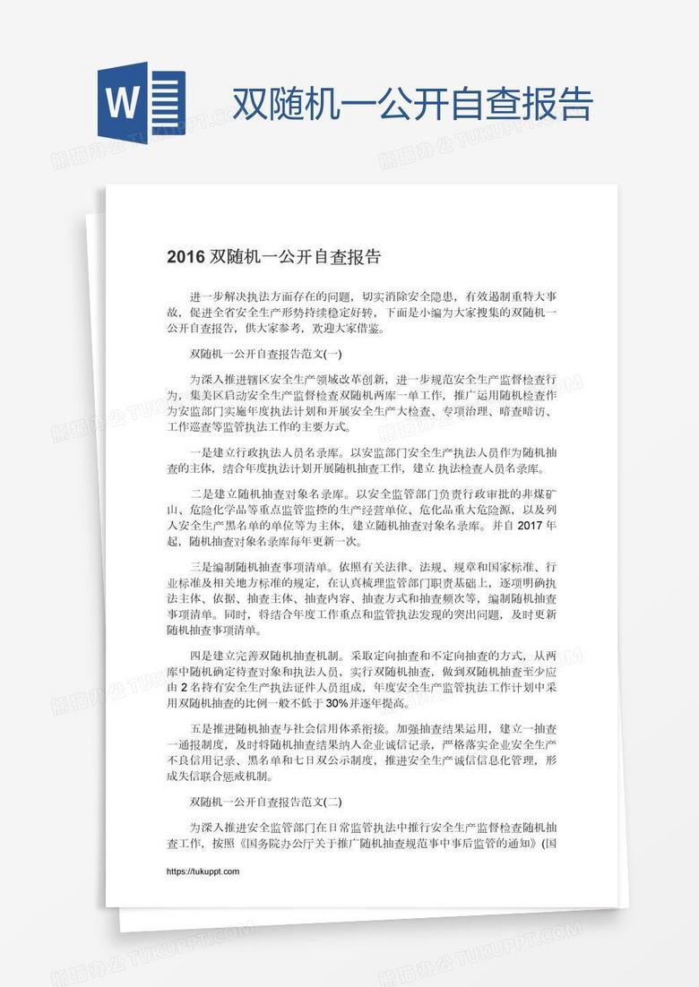 双随机一公开自查报告