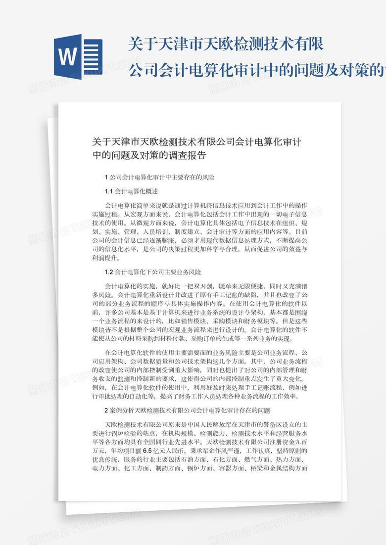 关于天津市天欧检测技术有限公司会计电算化审计中的问题及对策的调查报告