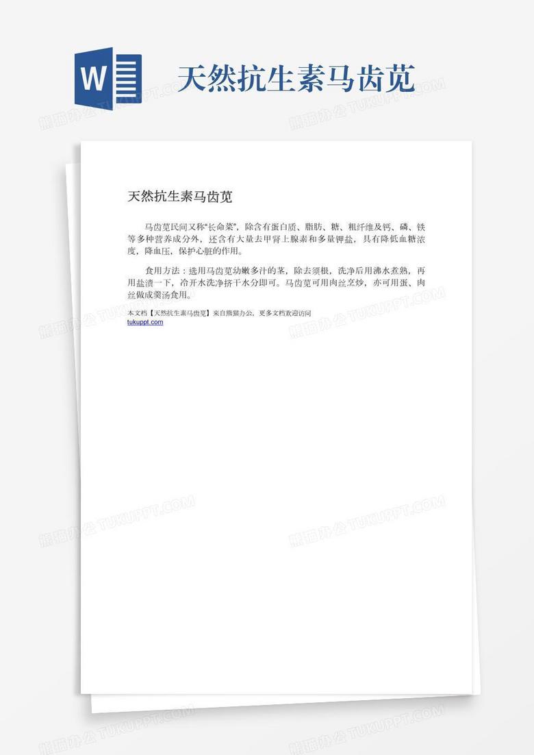 天然抗生素马齿苋
