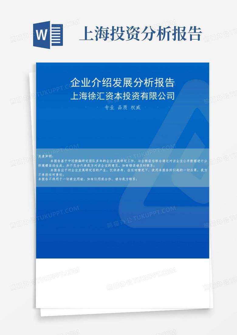 上海徐汇资本投资有限公司介绍企业发展分析报告