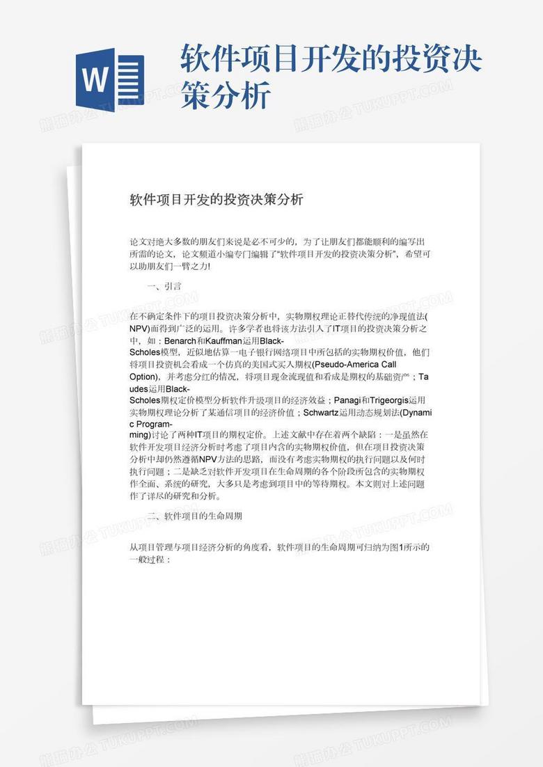 软件项目开发的投资决策分析