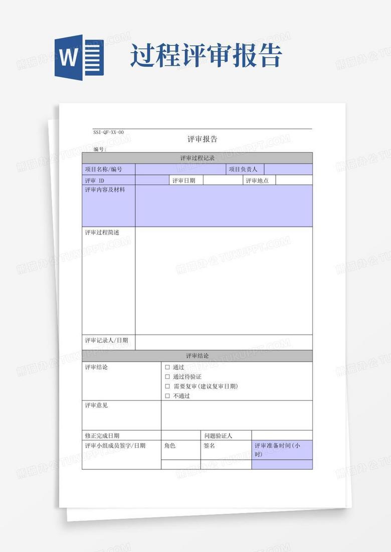 评审过程评审报告-质量审查(共2页)