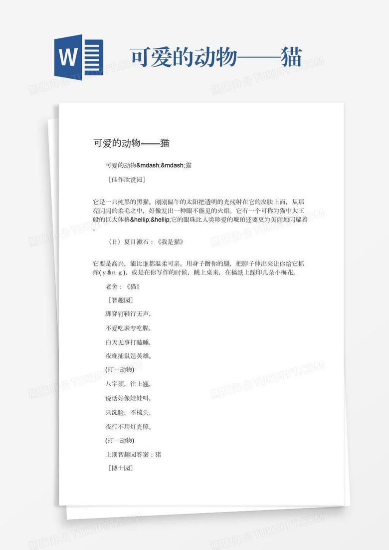 可爱的动物——猫