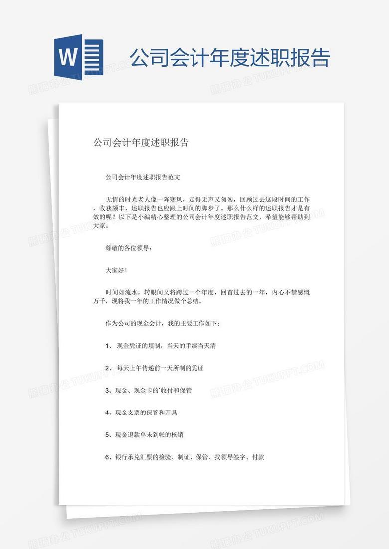 公司会计年度述职报告