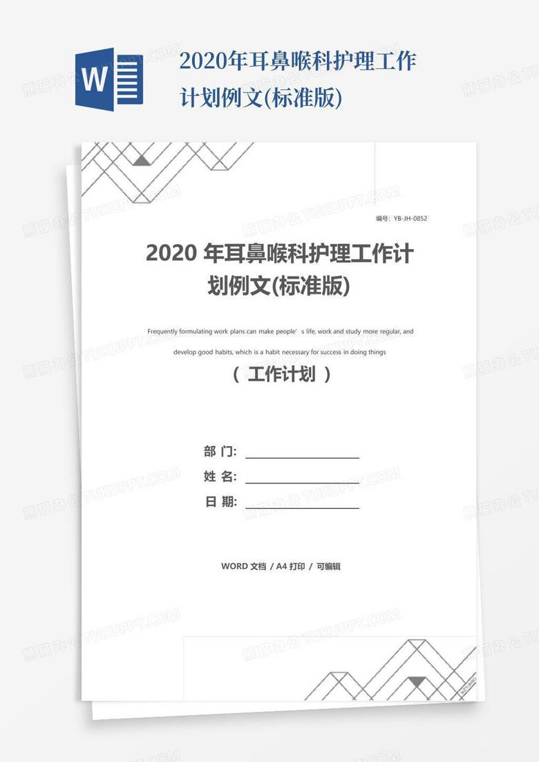 2020年耳鼻喉科护理工作计划例文(标准版)-