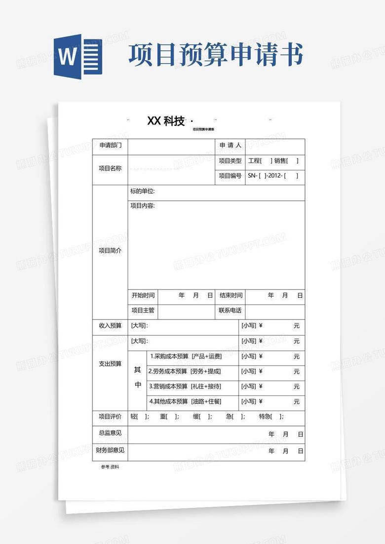 大气版项目预算申请表