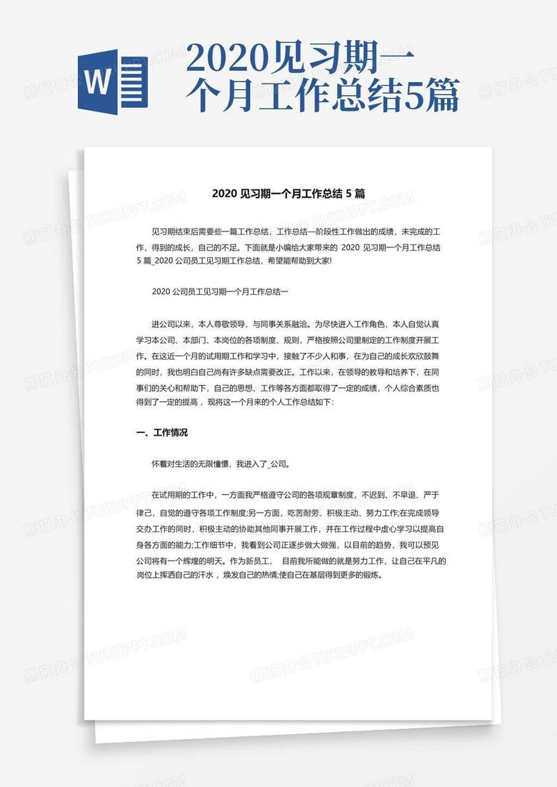 2020见习期一个月工作总结5篇-