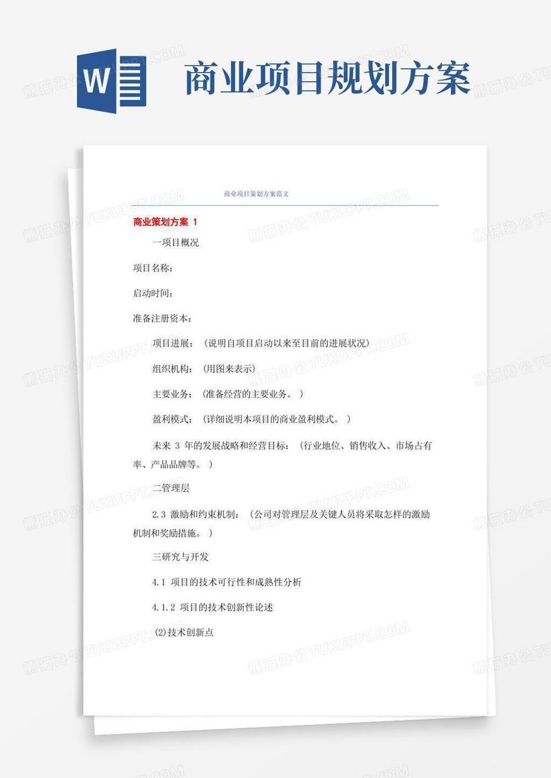 商业项目策划方案范文